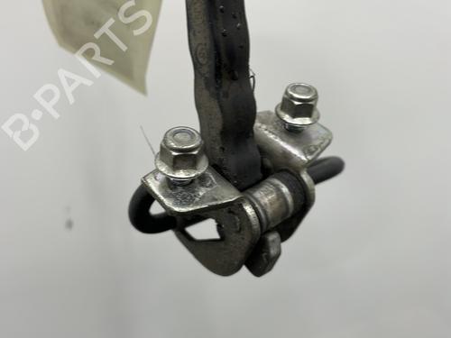 Hinge/Door check strap FIAT GRANDE PUNTO (199_) 1.3 D Multijet | BP24654068C146