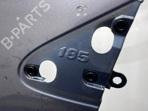 Left front fenders RENAULT CLIO III (BR0/1, CR0/1) 1.2 16V Hi-Flex (BR1U, CR1U) | BP29976649C41