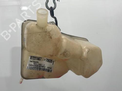 Expansion tank FORD FIESTA V (JH_, JD_) 1.4 TDCi | BP20419817C120 