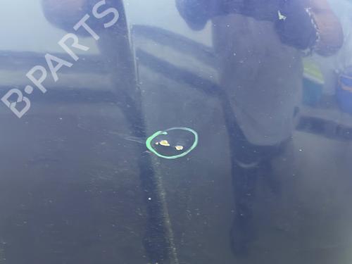 Hood RENAULT KANGOO (KC0/1_) 1.4 (KC0C, KC0H, KC0B, KC0M) | BP27347585C1