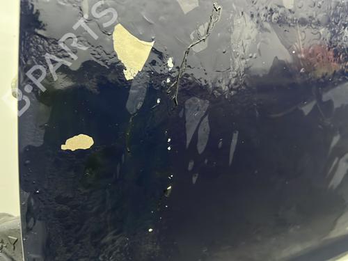 Left front door DACIA SANDERO II 1.2 | BP30602912C2