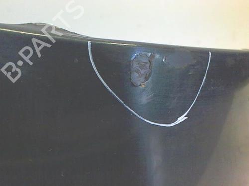 Right front fenders JAGUAR S-TYPE II (X200) 3.0 V6 | BP20456379C42 
