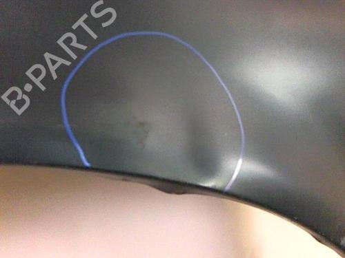 Left front fenders OPEL SINTRA (APV) 2.2 DTI | BP20477607C41 