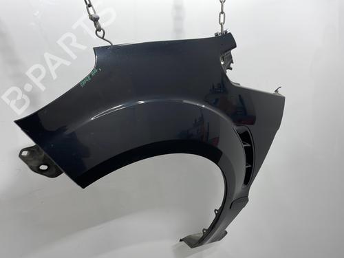 Left front fenders FORD S-MAX (WA6) 2.0 TDCi | BP25445313C41 