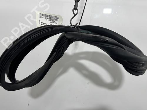 Used Rubber door seal Rubber door seal FIAT PUNTO (188_) 1.2 16V 80 (188.233, .235, .253, .255, .333, .353, .639,... (80 hp) 33725976 33725976