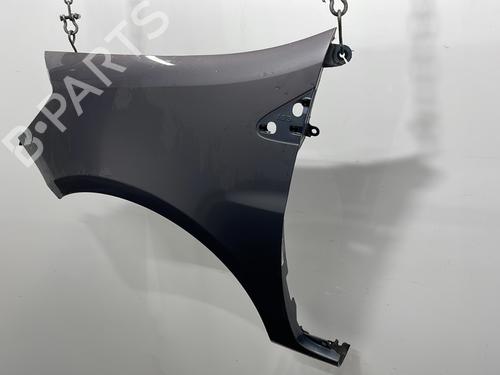 Left front fenders RENAULT CLIO III (BR0/1, CR0/1) 1.2 16V Hi-Flex (BR1U, CR1U) | BP29976649C41