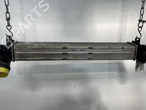 Used Intercooler RENAULT SCÉNIC III (JZ0/1_) 1.9 dCi (JZ0J, JZ1J, JZ1K, JZ1S) (131 hp) 30602793
