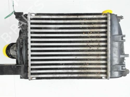 Intercooler DACIA SANDERO II TCe 90 (B8M1, B8MA, B8AC) | BP28683570M30