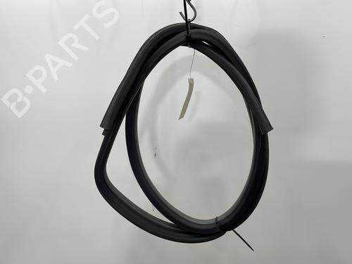 rubber-door-seal-renault-safrane-ii-b54_-1996-1997-1998-1999-2000-27409271 main image