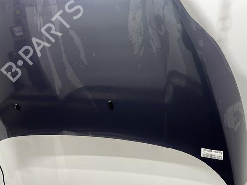 Hood FORD FIESTA VI (CB1, CCN) 1.6 TDCi | BP30795306C1