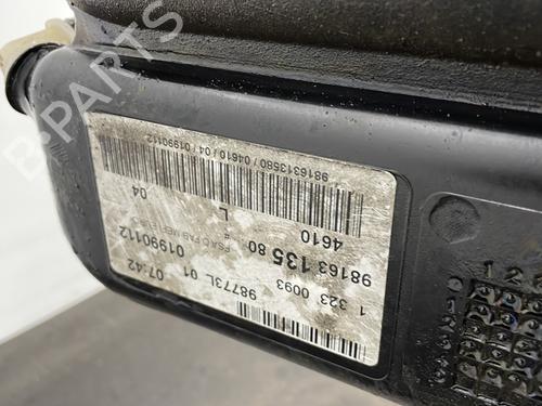 Fuel tank PEUGEOT 208 I (CA_, CC_) 1.6 HDi / BlueHDi 75 | BP29338420C62 
