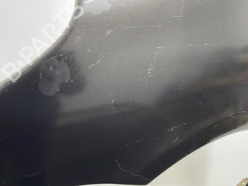 Left front fenders CITROËN XSARA PICASSO (N68) 1.6 HDi | BP20428341C41 