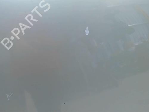 Hood PEUGEOT 307 (3A/C) 2.0 HDi 90 | BP20414533C1 