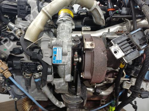 Engine RENAULT MEGANE III Hatchback (BZ0/1_, B3_) 1.5 dCi (BZ09, BZ0D, BZ1W, BZ29, BZ14) | BP36900509M1  - Image 9