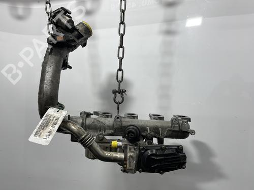 Egr RENAULT MEGANE III Hatchback (BZ0/1_, B3_) 1.9 dCi (BZ0N, BZ0J) (131 hp) 32018676