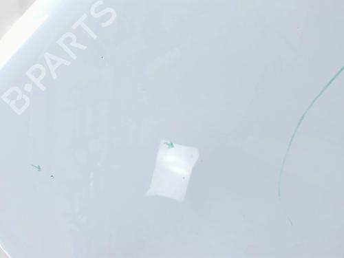 Hood RENAULT RAPID Box Body/MPV (F40_, G40_) 1.6 D (F404) | BP20472125C1