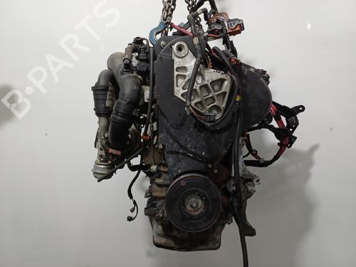 Engine RENAULT MEGANE III Coupe (DZ0/1_) 1.9 dCi (DZ0N, DZ0J, DZ1J, DZ1K) | BP36669041M1 - Image 5