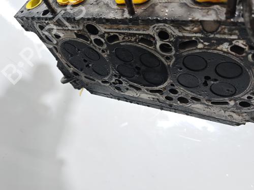 Culata Culata VW POLO V (6R1, 6C1) 1.2 TDI (75 hp) 39733634 39733634