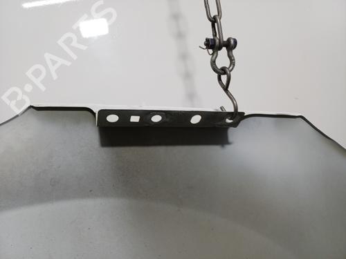 Used Right front fenders Right front fenders CITROËN C3 I (FC_, FN_) [2002-2013] 34458852 34458852