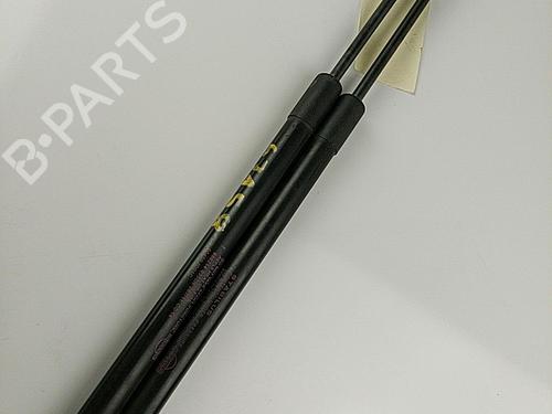 Tailgate lift support NISSAN QASHQAI / QASHQAI +2 I (J10, NJ10, JJ10E) 1.5 dCi | BP20390877C138 