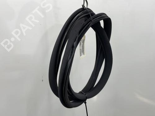 Rubber door seal MERCEDES-BENZ C-CLASS (W203) C 200 CDI (203.007) | BP24810190C142 