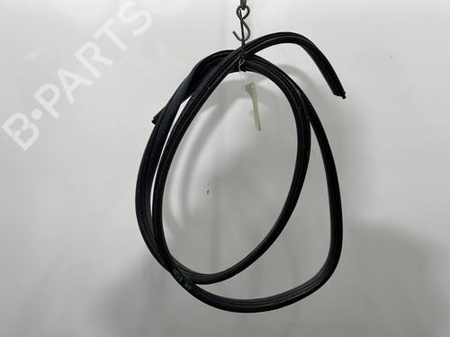 rubber-door-seal-renault-modus-grand-modus-fjp0_-2004-31074500 main image