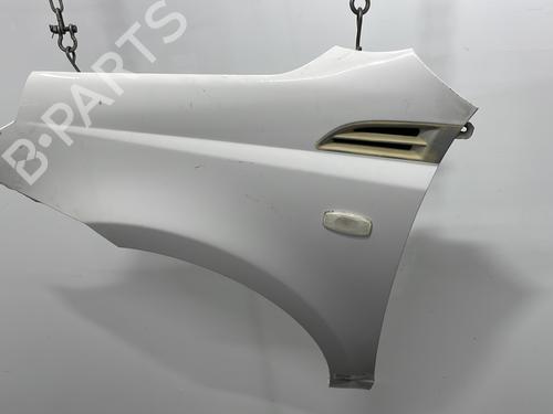 Left front fenders CHEVROLET AVEO / KALOS Hatchback (T250, T255) 1.2 LPG | BP20395436C41 