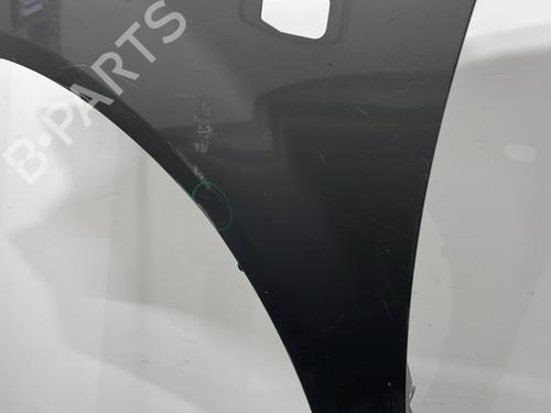 Left front fenders HYUNDAI GETZ (TB) 1.1 | BP20429449C41 