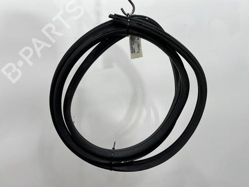 Gummilist RENAULT MODUS / GRAND MODUS (F/JP0_) 1.5 dCi (FP0D, JP0D) (82 hp) 29320436