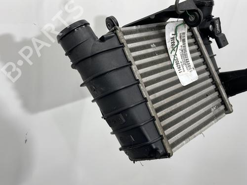 Ladeluftkühler für VW POLO IV (9N_, 9A_) 1.4 TDI (70 hp) 30044829