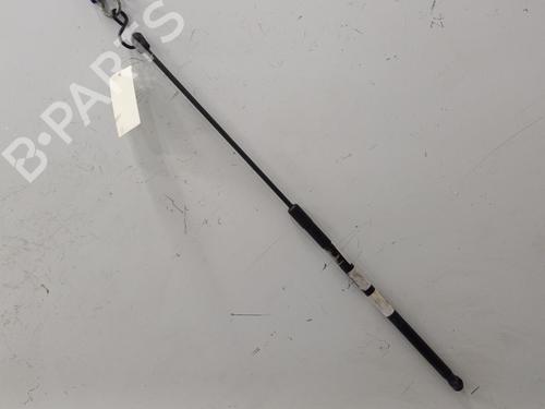 Hood lift support VOLVO C30 (533) 2.0 D | BP21238422C139 