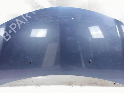 Used Hood RENAULT CLIO III (BR0/1, CR0/1) 1.5 dCi (C/BR0G, C/BR1G) (68 hp) 20409450