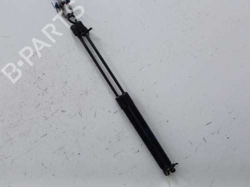 Used Tailgate lift support SKODA FABIA II (542) 1.2 (60 hp) 20401838