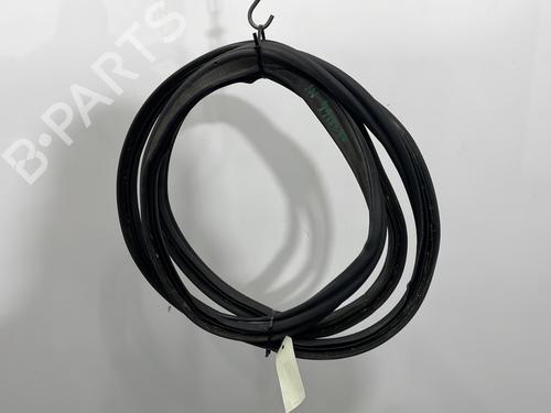 Used Rubber door seal RENAULT SCÉNIC III (JZ0/1_) 1.9 dCi (JZ0J, JZ1J, JZ1K, JZ1S) (131 hp) 30602783