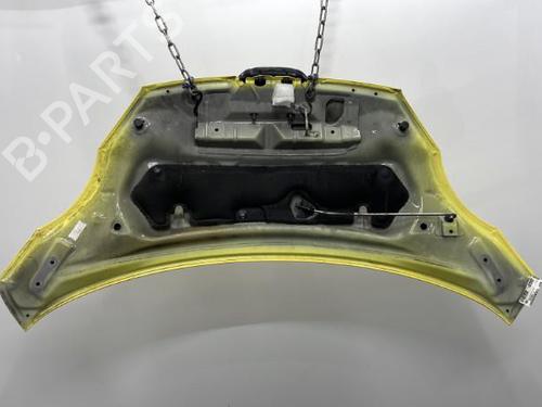 Used Hood PEUGEOT 107 (PM_, PN_) 1.4 HDi (54 hp) 20462329