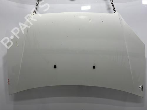Panser FIAT DOBLO Box Body/MPV (223_) 1.3 D Multijet (75 hp) 25149190