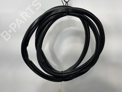 Gummiliste CITROËN C4 II (NC_) 1.6 HDi 115 (114 hp) 30628741