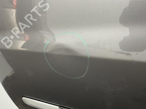 Left front door RENAULT CLIO III Grandtour (KR0/1_) 1.5 dCi (KR0G) | BP29604067C2