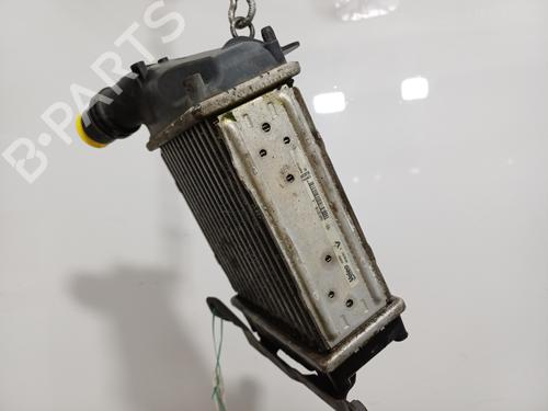Intercooler RENAULT TWINGO II (CN0_) 1.5 dCi 75 | BP36400734M30 - Image 3