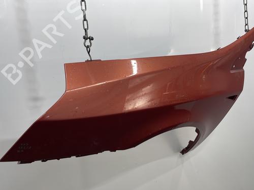 Left front fenders RENAULT VEL SATIS (BJ0_) 2.0 16V Turbo (BJ0K) | BP29844321C41 