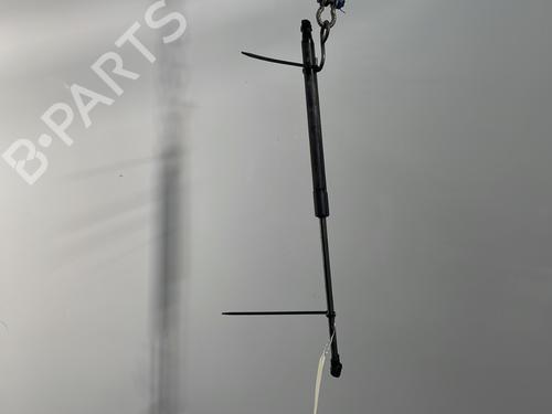 BP30115606C138 main image