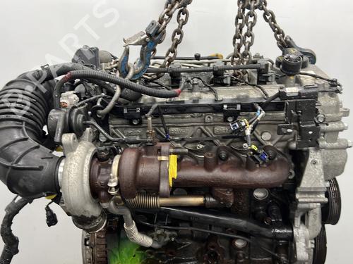 Engine HYUNDAI i20 I (PB, PBT) 1.4 CRDi | BP33184413M1  - Image 8