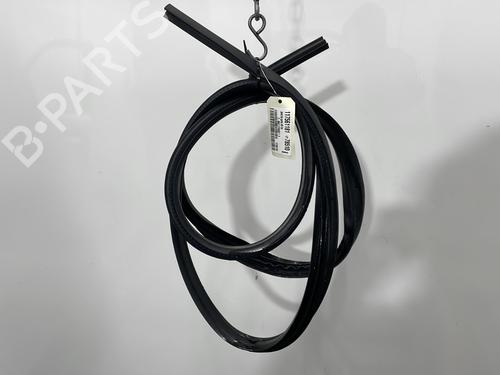 Gummiliste FORD C-MAX II (DXA/CB7, DXA/CEU) 2.0 TDCi (140 hp) 30755999