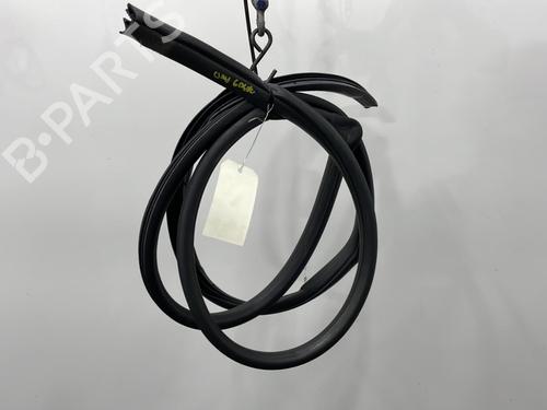 Used Rubber door seal TOYOTA COROLLA Verso (ZER_, ZZE12_, R1_) 2.0 D-4D (CUR10_, CUR10R) (116 hp) 20394812