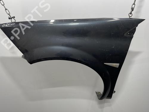 Used Left front fenders RENAULT MEGANE II (BM0/1_, CM0/1_) 1.5 dCi (BM1F, CM1F) (86 hp) 20443032