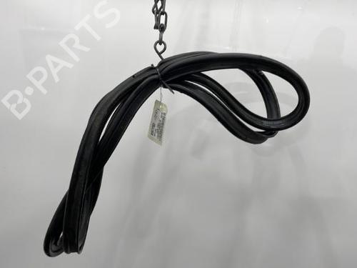 Used Rubber door seal RENAULT LAGUNA III (BT0/1) 1.5 dCi (BT00, BT0A, BT0T, BT1J) (110 hp) 20393070