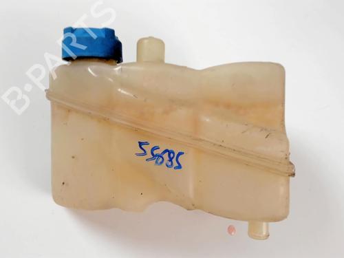 Used Expansion tank LANCIA MUSA (350_) 1.9 D Multijet (350.AXC1A) (101 hp) 20451358
