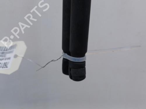 Tailgate lift support VW TOURAN (1T1, 1T2) 1.9 TDI | BP20427700C138 