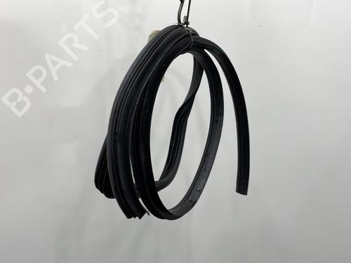 Rubber door seal HYUNDAI i20 I (PB, PBT) 1.4 CRDi | BP20438266C142 