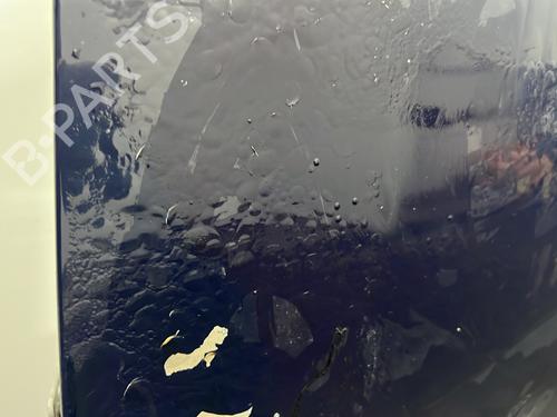 Left front door DACIA SANDERO II 1.2 | BP30602912C2